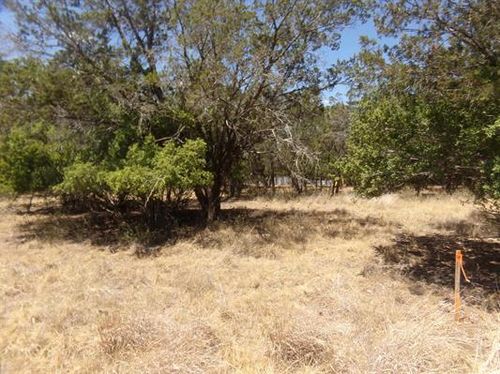 141 Pine Lane, Cottonwood Shores, TX, 78657 | Card Image