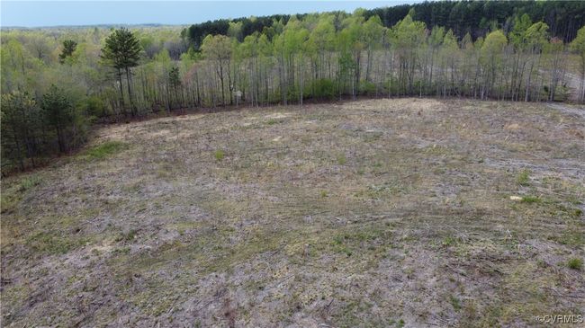 27.35 Acres Prince Edward Highway, Home with 0 bedrooms, 0 bathrooms and null parking in RICE VA | Image 6