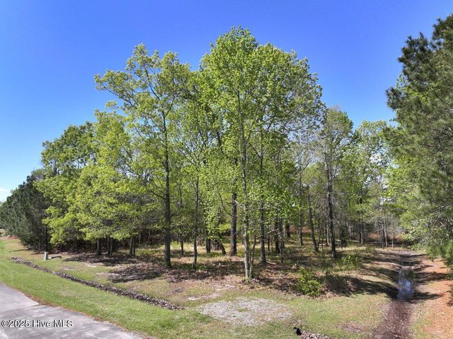 48 Sunset Point Rd, Home with 0 bedrooms, 0 bathrooms and null parking in Belhaven NC | Image 10