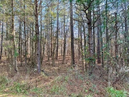 Lot 13 Oak Ridge Drive, Waverly Hall, GA, 31831 | Card Image