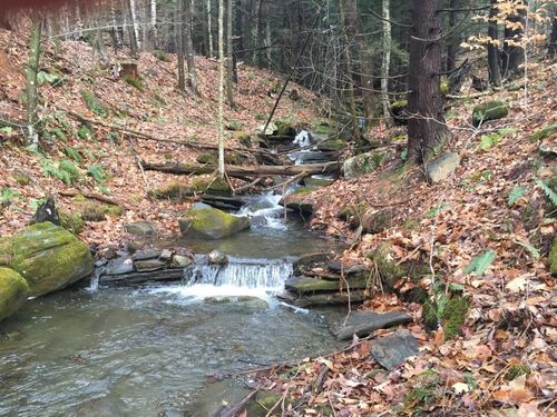 90 Reading Farms Rd, Reading, VT, 05062-9644 | Card Image