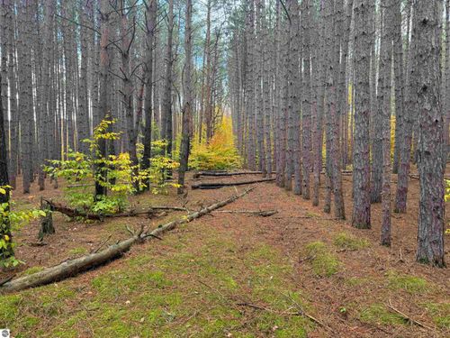 0 Deer Run Dr, Cadillac, MI, 49601 | Card Image