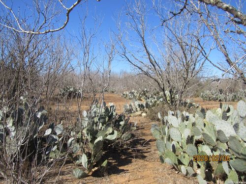 2662 County Road 307, Floresville, TX, 78114 | Card Image