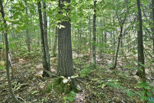 Lot 2 County Hwy C, Cornucopia, WI, 54827 | Card Image