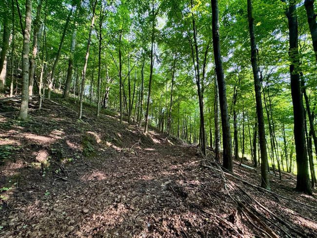 E13758 Highway 82, House other with 4 bedrooms, 2 bathrooms and null parking in Stark WI | Image 54
