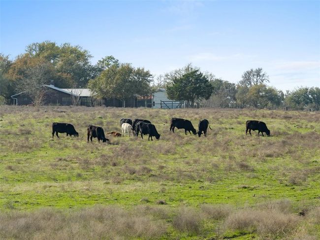 8232 Fm 2145, Home with 3 bedrooms, 3 bathrooms and null parking in Ledbetter TX | Image 7