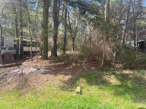 TBD Paradise Cir, Chandler, TX, 75758 | Card Image