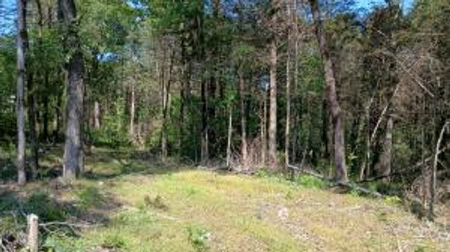 27B & 28B Shelby Lane, Home with 0 bedrooms, 0 bathrooms and null parking in Cecil AR | Image 12