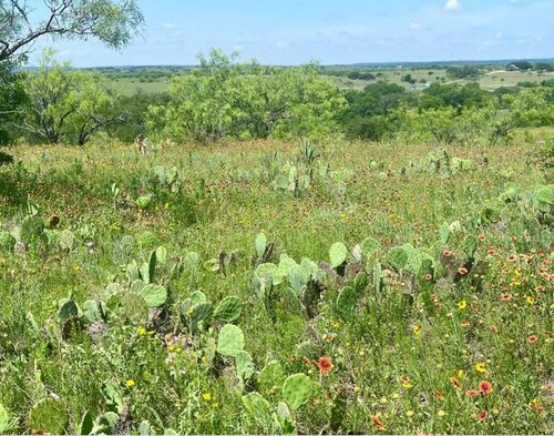 LOT 59 Comanche Lake Rd, Comanche, TX, 76442 | Card Image