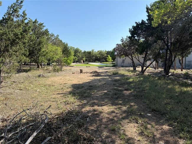 View of local wilderness | Image 10