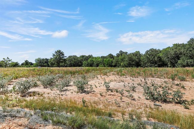 0000 Ranch View Pl, Home with 0 bedrooms, 0 bathrooms and null parking in Springtown TX | Image 15