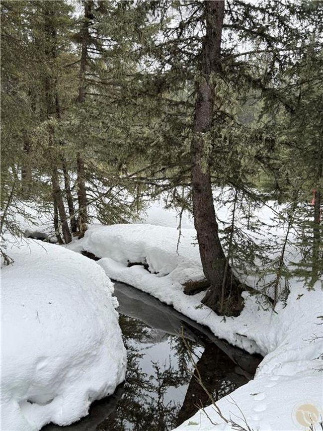 C 10 Basting Tracts, Home with 0 bedrooms, 0 bathrooms and null parking in Cooke City MT | Image 10