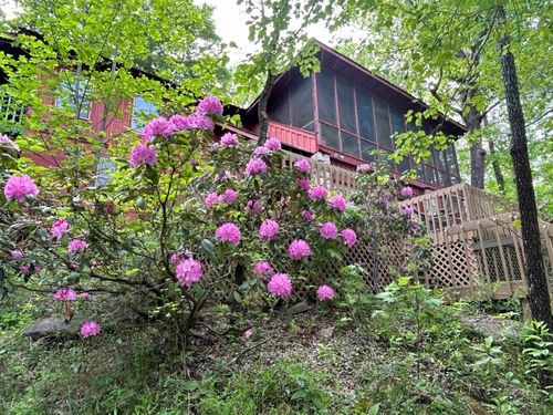 913 County Road 106, Mentone, AL, 35984-2751 | Card Image