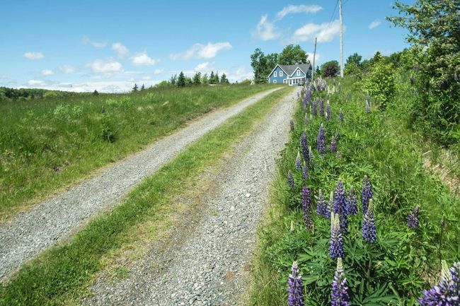 10353 Marble Mountain Rd, House other with 4 bedrooms, 2 bathrooms and 4 parking in Orangedale NS | Image 31