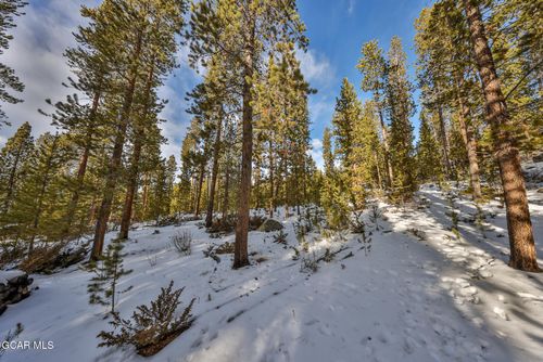 16 County Road 4631, Grand Lake, CO, 80447-5101 | Card Image