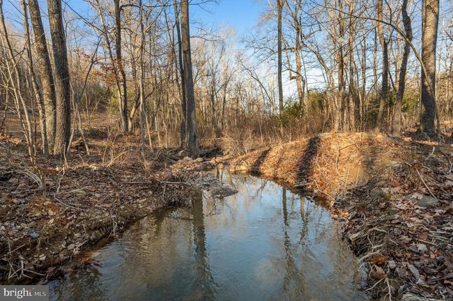 LOT 4 Back Creek Rd, Home with 0 bedrooms, 0 bathrooms and null parking in GORE VA | Image 4