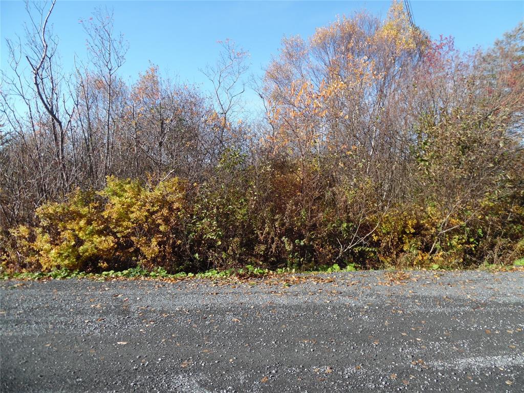 Land in Clarenville 4
