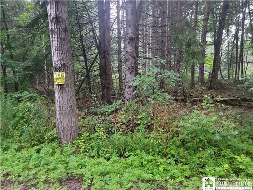 0 Wade Hill Rd, Gerry, NY, 14740 | Card Image