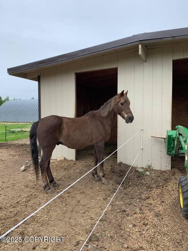 Unheated horse duplex | Image 77