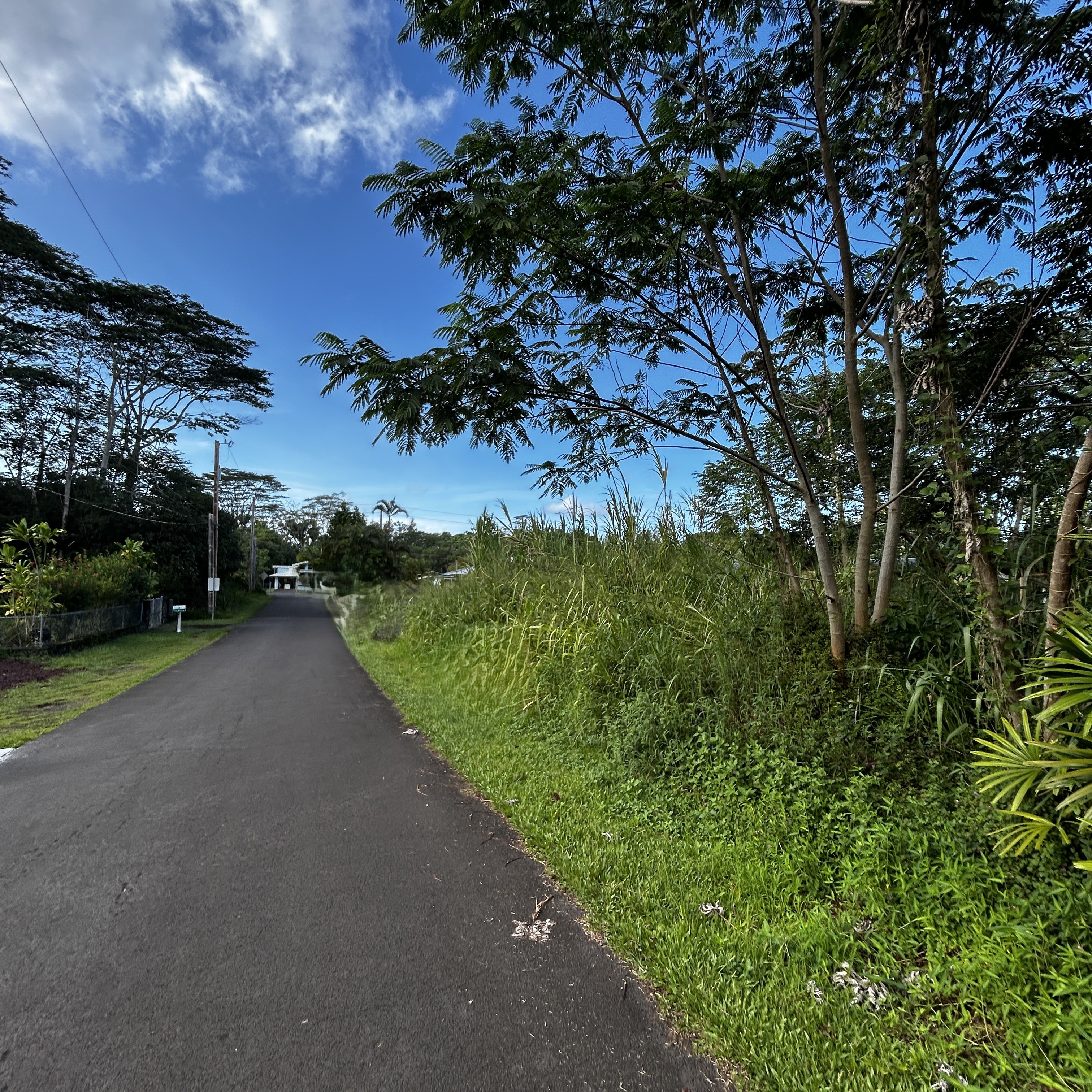 Land in Pahoa