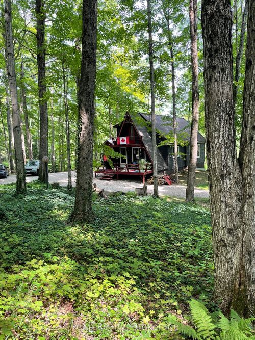 214339 Baseline Rd, Elmwood, ON, N0G1S0 | Card Image