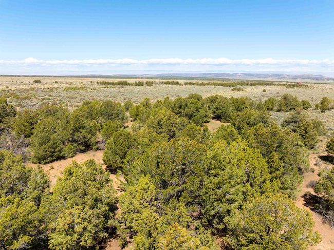 15770 Masters Ranch Dr, Home with 0 bedrooms, 0 bathrooms and null parking in Glade Park CO | Image 18