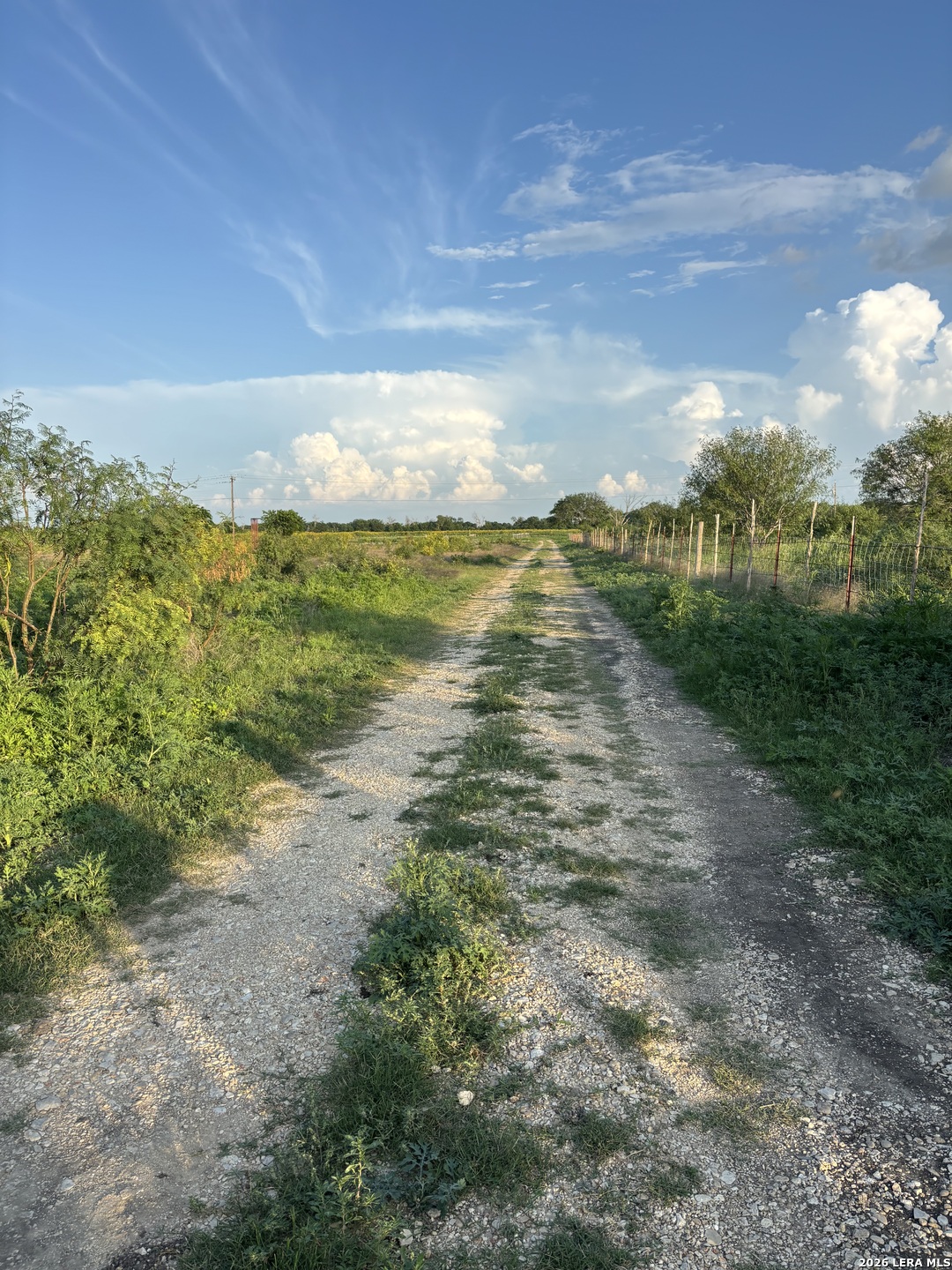 Land in Cibolo 2