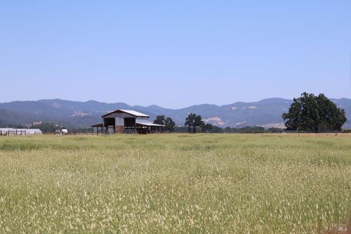 23700 Poonkinney Rd, Covelo, CA, 95428 | Card Image