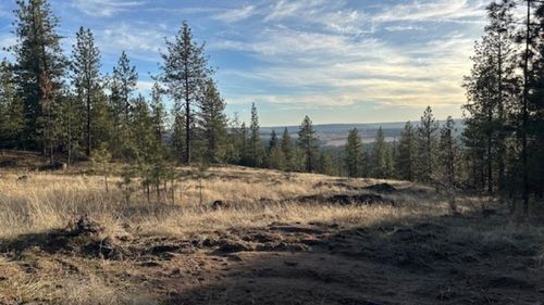 NKA N Linden Ln, Spokane, WA, 99208 | Card Image