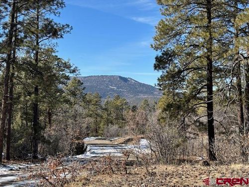 2308 Bull Elk Pl, Pagosa Springs, CO, 81147 | Card Image