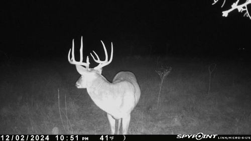 1838 County Road 343, Dublin, TX, 76446 | Card Image