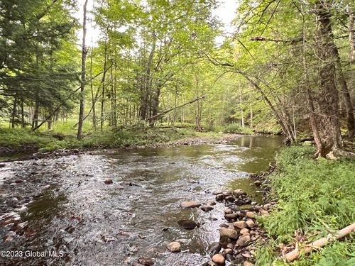 L14.100 Cheney Pond, Minerva, NY, 12851 | Card Image