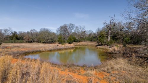 Tbd Tract 6 Wallace Rd, Madisonville, TX, 77864 | Card Image