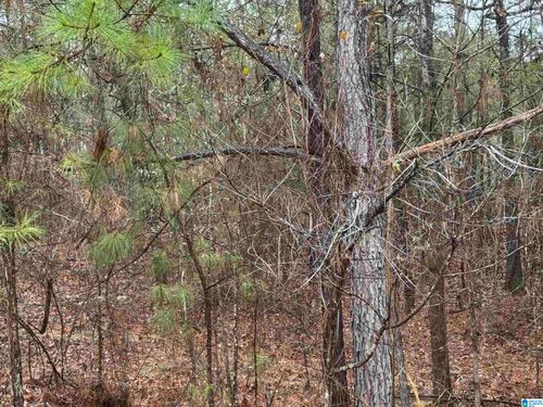 5-286 Willow Ln, VINCENT, AL, 35178-9468 | Card Image