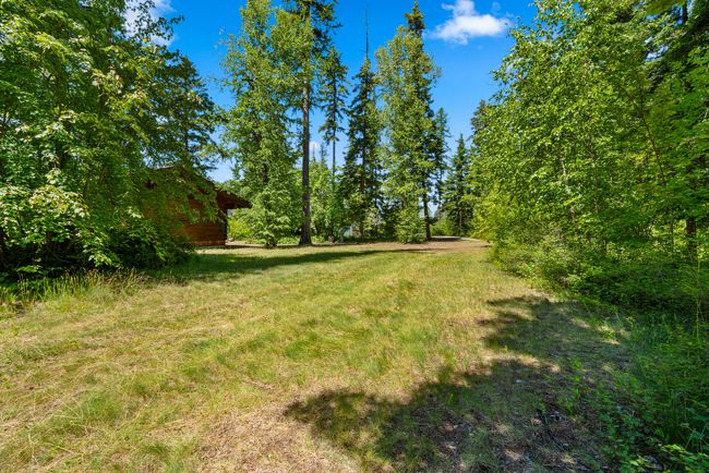 View of grassy yard | Image 31