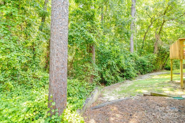 Back yard backs up to protected woodlands | Image 25