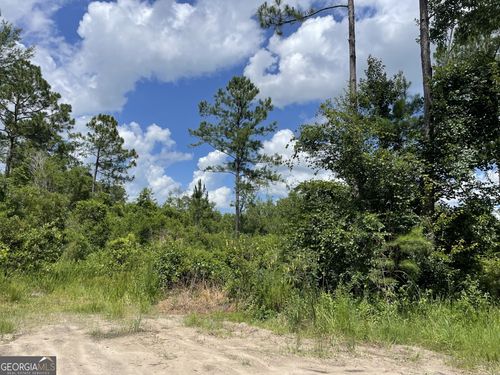 633 Sams Trl, Hortense, GA, 31543-4503 | Card Image