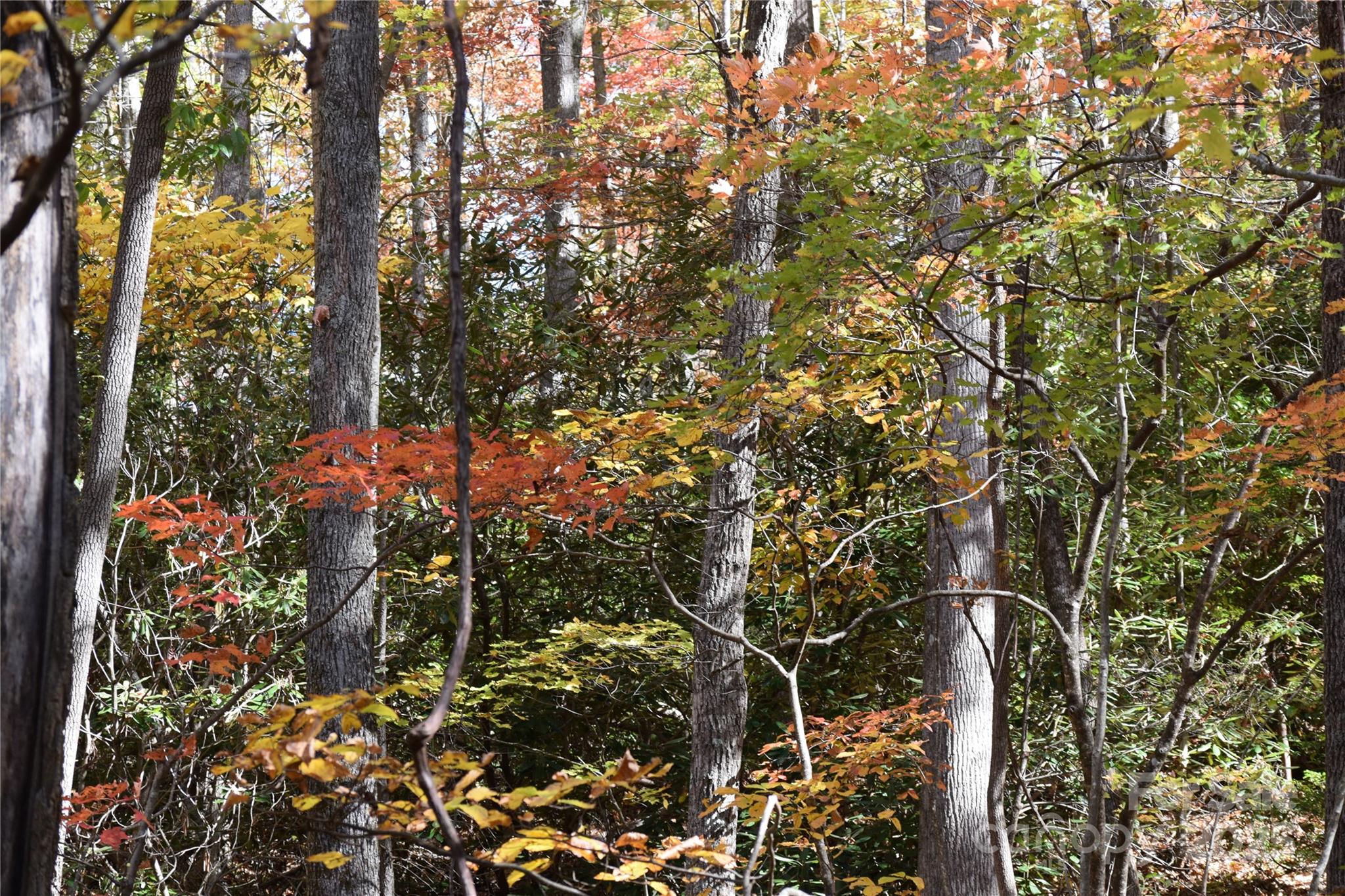 Land in Burnsville