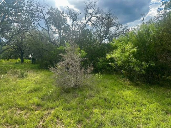 712 Coventry Rd, Home with 0 bedrooms, 0 bathrooms and null parking in Spicewood TX | Image 13