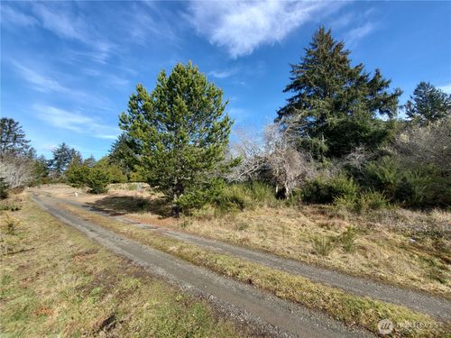 0 Oysterville Cemetery Rd, Oysterville, WA, 98641 | Card Image