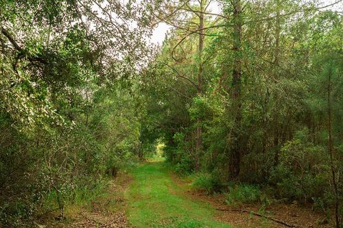 00 Birds Nest Ln, CHIEFLAND, FL, 32626 | Card Image