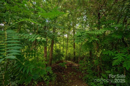 Lot 34 Line Dr, Forest City, NC, 28043 | Card Image