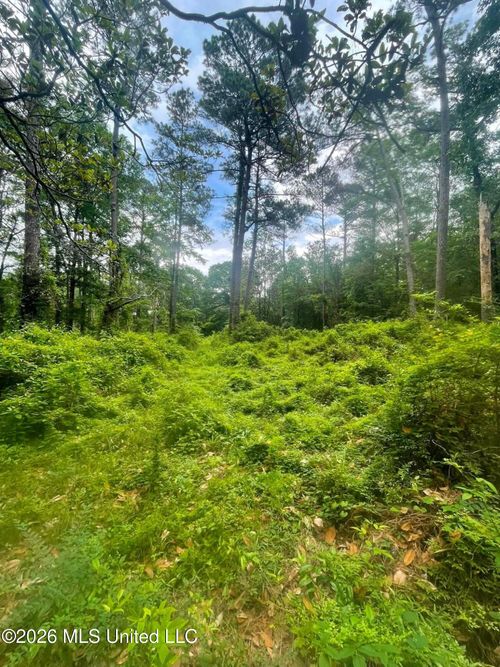 2 Magnolia Progress Rd, Magnolia, MS, 39652 | Card Image