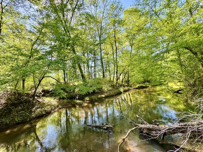 0 Ga Highway 87, Home with 0 bedrooms, 0 bathrooms and null parking in Juliette GA | Image 28