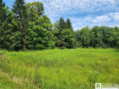 0 School St, Findley Lake, NY, 14736 | Card Image