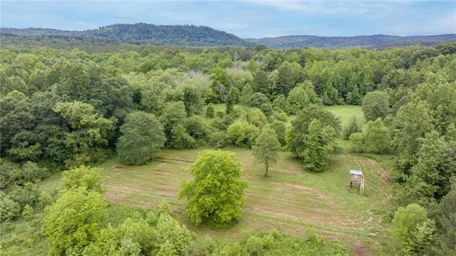 0 Highway 184 E, Home with 0 bedrooms, 0 bathrooms and null parking in Toccoa GA | Image 7