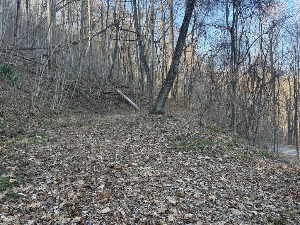 Land in Bryson City