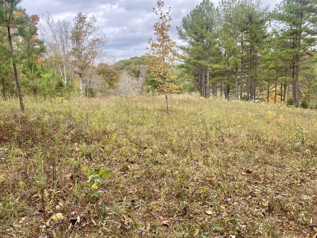 427 Blooming Grove Rd, House other with 2 bedrooms, 2 bathrooms and null parking in Five Points TN | Image 24