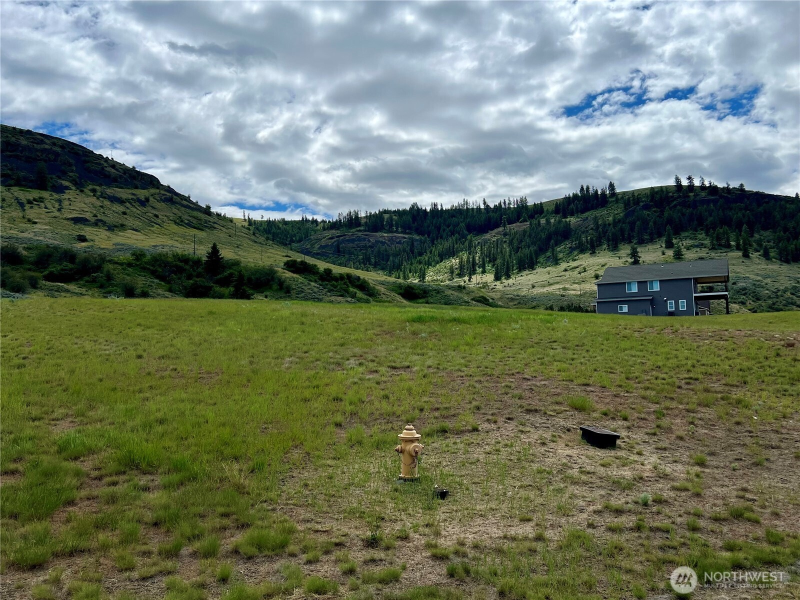 Land in Wilbur 4