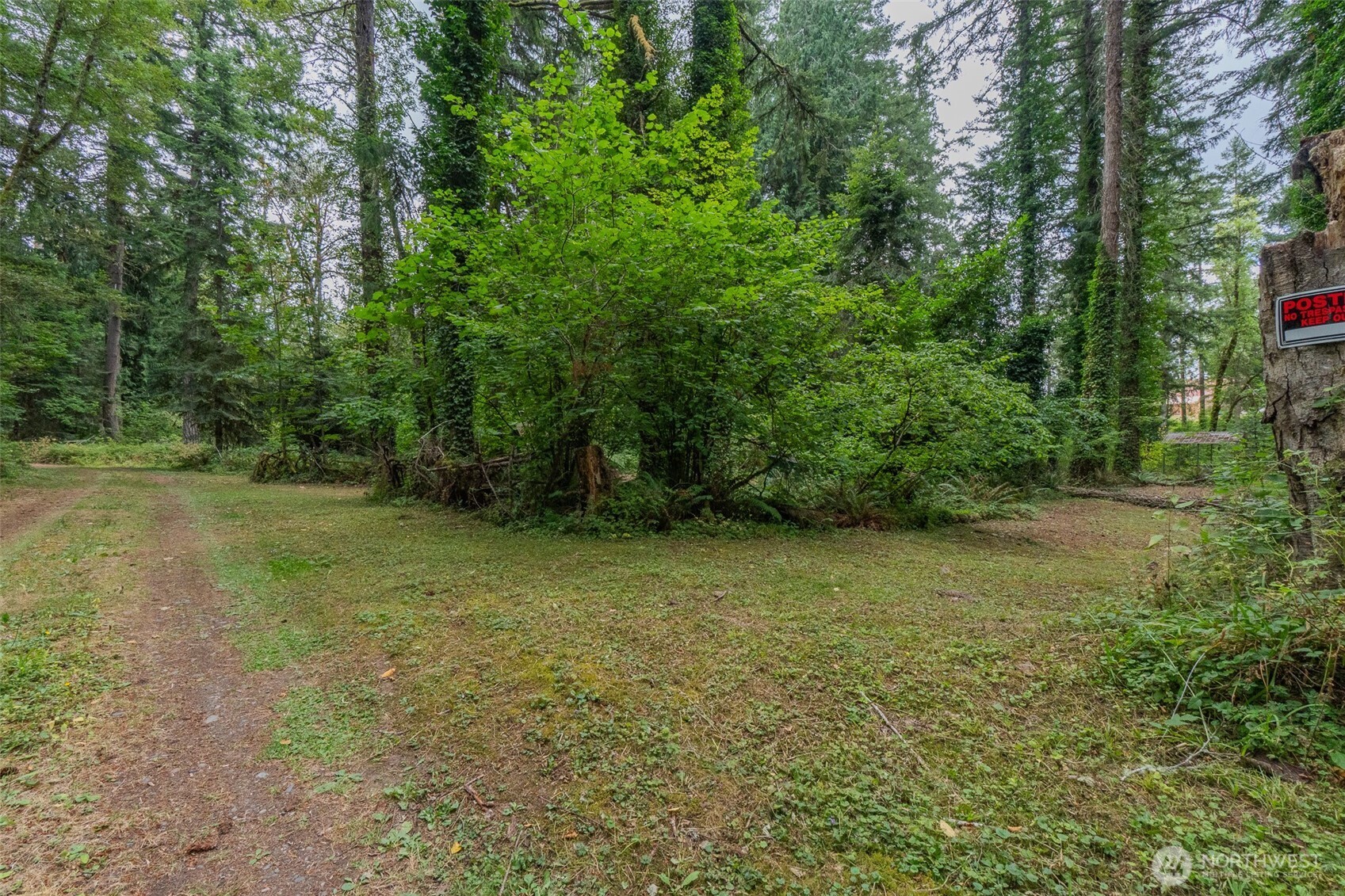 Land in Rainier 5